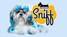 SNIFF Peluquería Canína - Barcelona
