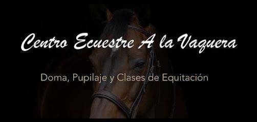 Centro Ecuestre A La Vaquera - Albacete