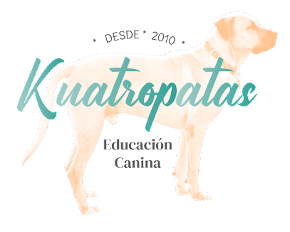 Kuatropatas -Educación canina