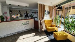 Peluquero de mascotas NELFLY Estilistes - Lérida