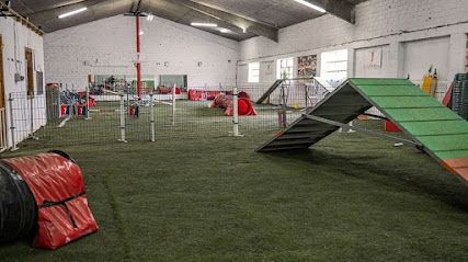 Centro canino Canedupo - Lugo