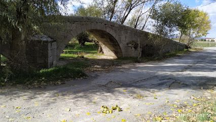 Residencia Canina y Equina Babieca - Ávila