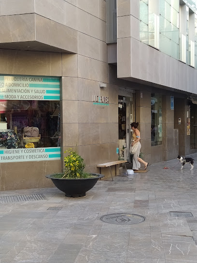 Lilo & Rumba: Tu tienda de productos para perros y gatos - Málaga