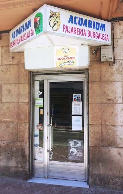Acuárium Pajarería Burgalesa - Burgos
