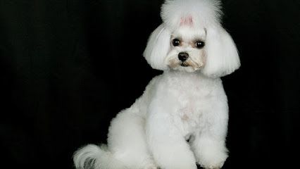 Ecolavakan Peluqueria canina y boutique - Lugo