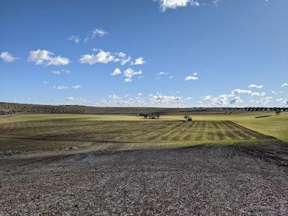 Reserva natural Maar De La Hoya Del Mortero - Ciudad Real