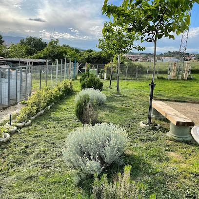 Residencia canina Banyoles Placocan