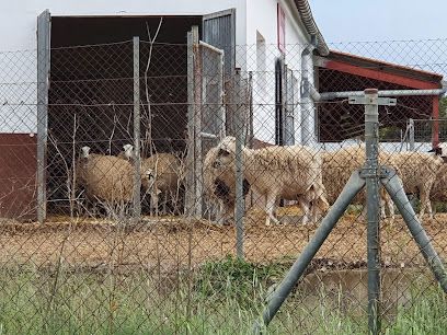 Granja Veterinaria Univ. de Murcia