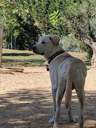 Parque Canino Canterac - Valladolid
