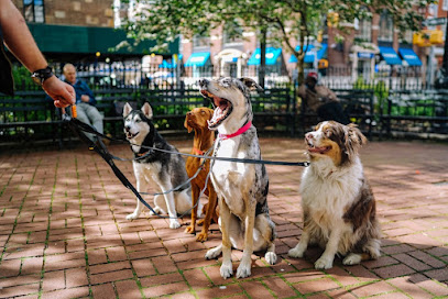 Paseos y Guardería de mascotas Dog walker and Dog sitter TORACANINA - Barcelona