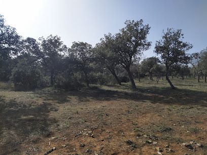 Reserva de ciervos Parque de Valdellano - Palencia