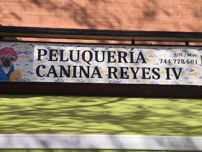 Escuela y Peluqueria Canina Reyes 4 - Sevilla