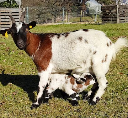 Granja Montes de Barbadás - Ourense