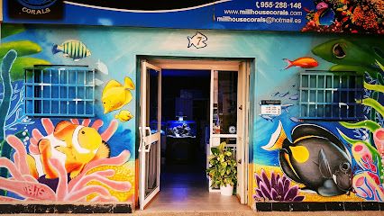 Tienda de peces tropicales MILLHOUSE CORALS - Sevilla