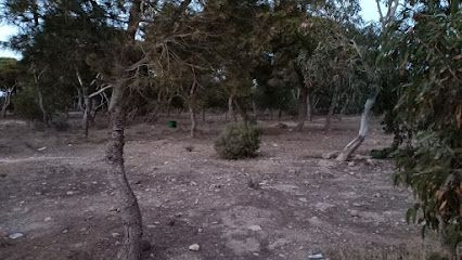 Reserva natural Pinares - Melilla