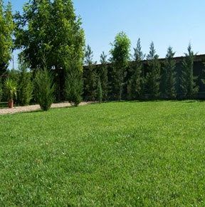 Residencia Canina Cordoba Cansport