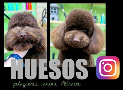 Peluqueria Canina Huesos - Albacete