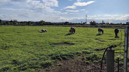 Granja Escuela la Torre - Zaragoza