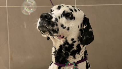 En Buenas Manos - Peluqueria Canina - Albacete