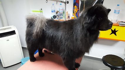 autolavado y peluquería de mascotas zarpas - Albacete