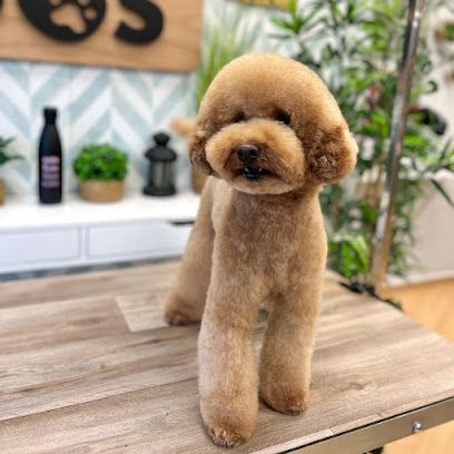 Peluquero de mascotas El Món del Gos - Girona