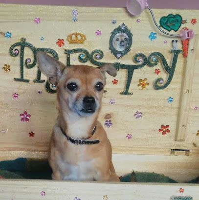 Peluquero de mascotas La Casita de Pretty - Albacete