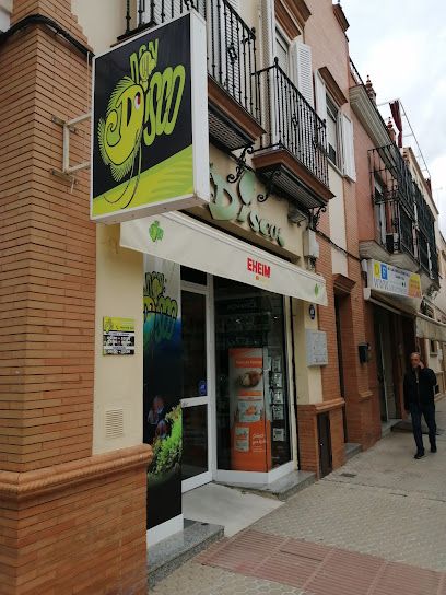 Tienda de peces tropicales Don Disco - Sevilla