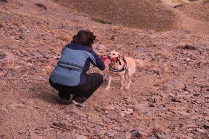 educacion canina granada