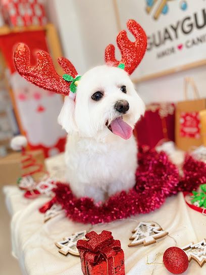 GUAY GUAY amor canino. Peluqueria canina y tienda animal - Albacete