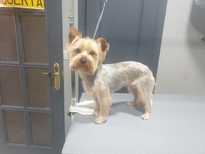 Peluquería canina Baguira - Soria