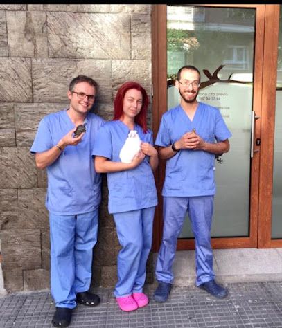 Clínica Veterinaria Axolotl • Veterinario especialista en exóticos, perros y gatos - León