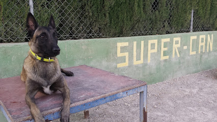 Club Canino Supercan - Murcia