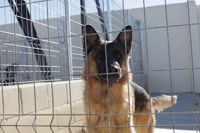 Residencia Canina Nuestra Señora de Sonsoles - Ávila