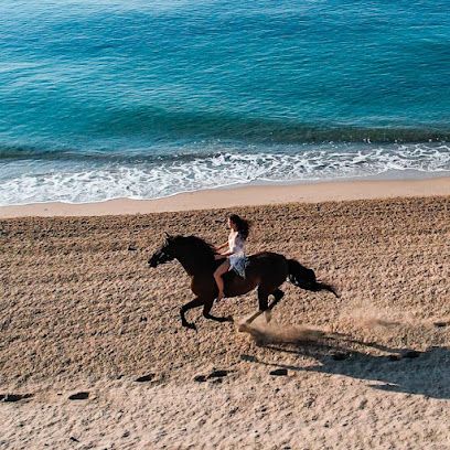 Finca Caballito de Mar