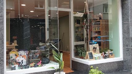 Peluquería canina Pistacho