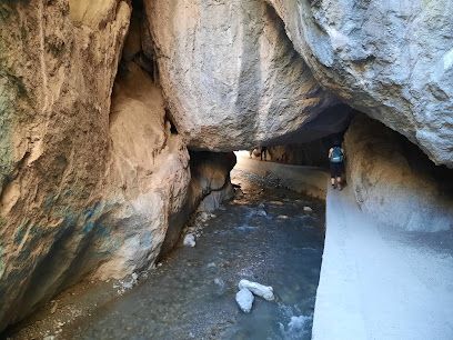 Cueva de Las Palomas