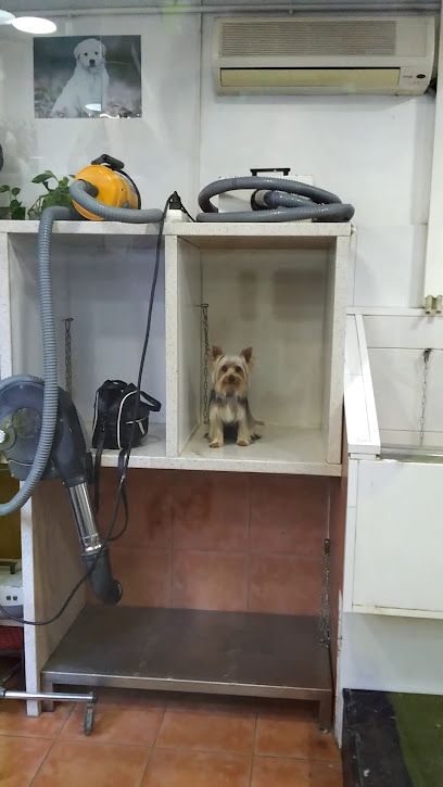 Peluquero de mascotas Estima'ls de Can Ventolà - Girona