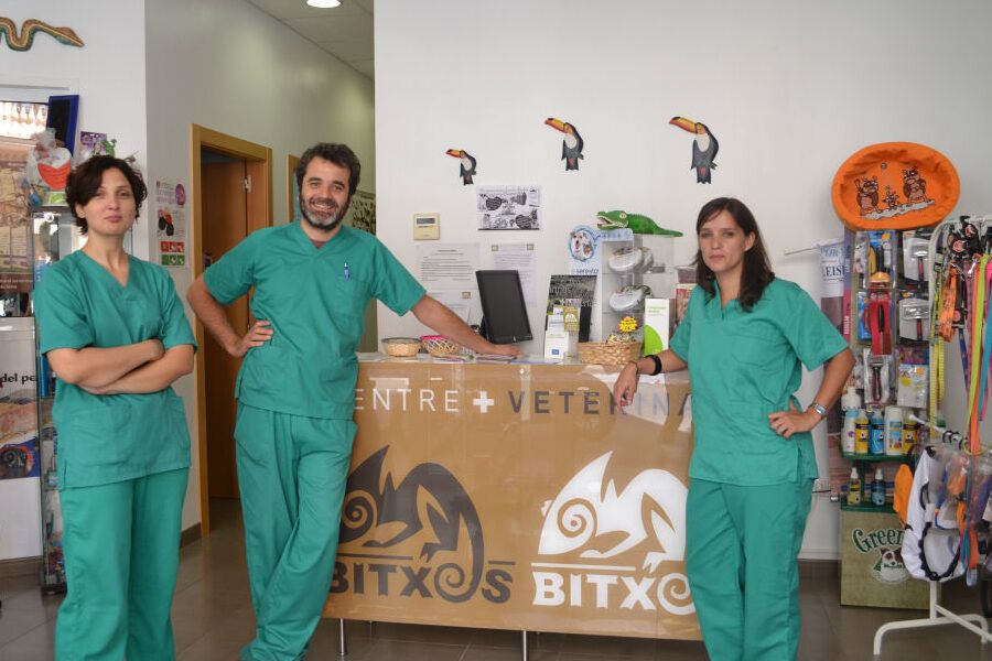 clinicas veterinarias especializadas en valencia