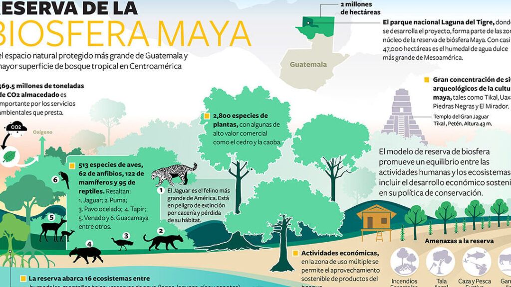 conservacion de la biodiversidad en reservas