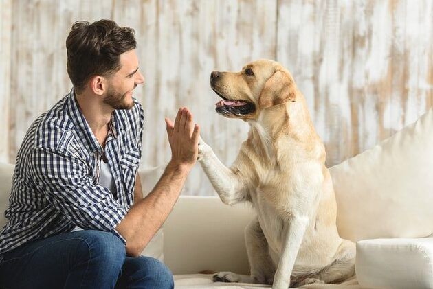 cuidadores de mascotas de confianza