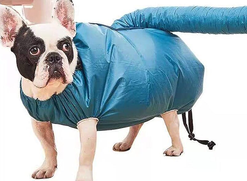 mascota feliz y secada rapido