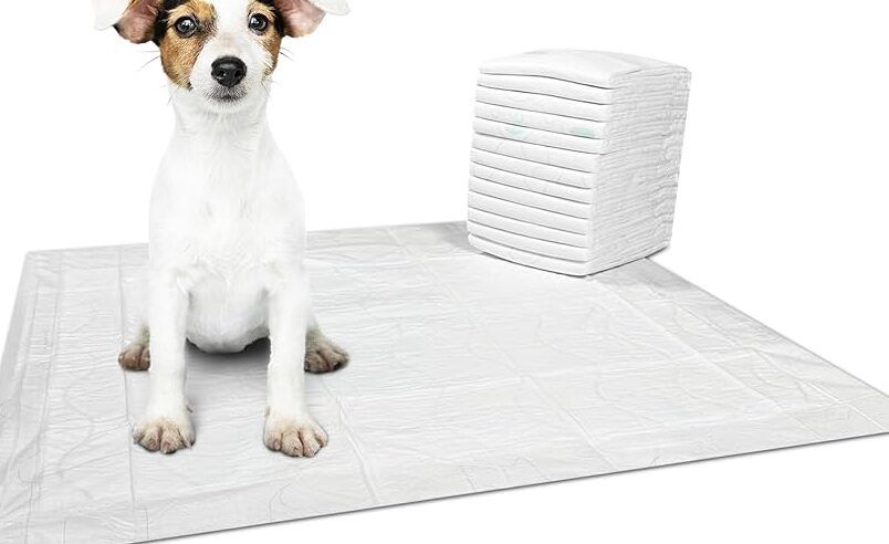 proteccion contra fugas de animales