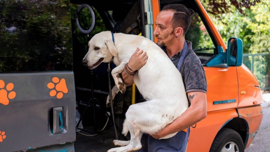 servicios adaptados a mascotas