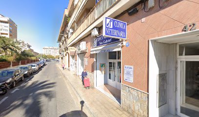 CLINICA VETERINARIA SAN GABRIEL CB - Alicante