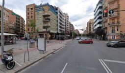 Peluqueria canina VidaPerra - Lérida