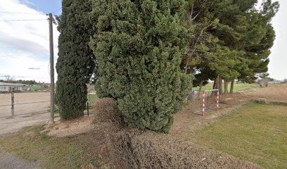 ARADOG Agility & Frisbee - Zaragoza