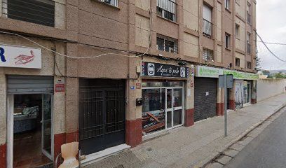 Adiestrador canino Sport + Cotas - Melilla