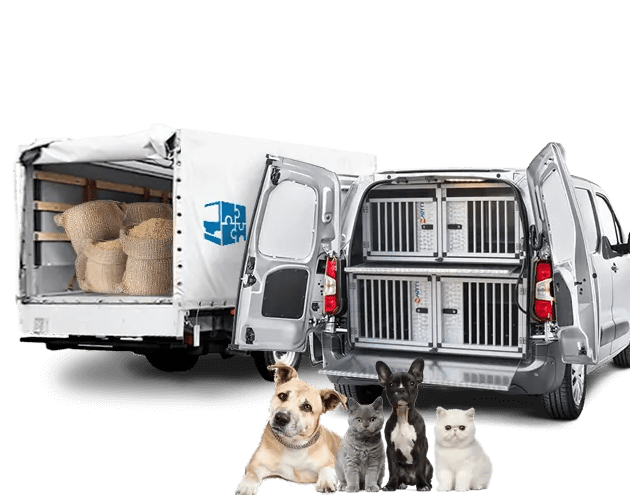transporte animal economico y seguro